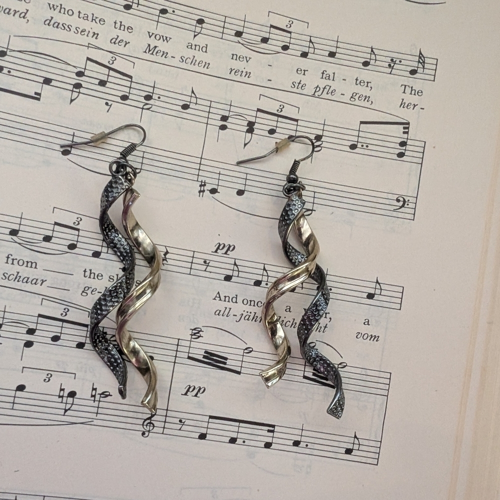 Twisted Silver and Black Earrings